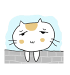 Chubby Cat MaoMao V3（個別スタンプ：26）