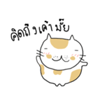 Chubby Cat MaoMao V3（個別スタンプ：29）