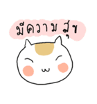 Chubby Cat MaoMao V3（個別スタンプ：30）