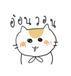 Chubby Cat MaoMao V3（個別スタンプ：36）