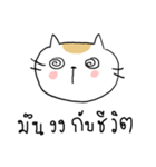Chubby Cat MaoMao V3（個別スタンプ：37）