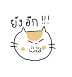 Chubby Cat MaoMao V3（個別スタンプ：38）