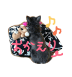 チワワのココア（個別スタンプ：5）