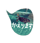 使えるあいさつ（個別スタンプ：4）