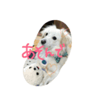 使えるあいさつ（個別スタンプ：8）
