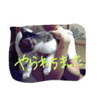 使えるあいさつ（個別スタンプ：10）