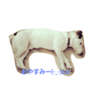 jack russel terrier Wanco（個別スタンプ：6）