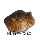 いとしのツノガエル（個別スタンプ：2）