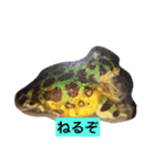 いとしのツノガエル（個別スタンプ：5）