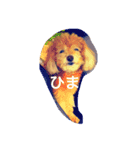 アニマル特集（個別スタンプ：6）