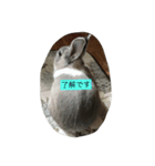 ゆるりMARO（個別スタンプ：3）