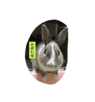 ゆるりMARO（個別スタンプ：7）