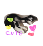 くうにゃんlove（個別スタンプ：4）