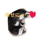 くうにゃんlove（個別スタンプ：8）
