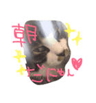 くうにゃんlove（個別スタンプ：9）