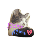 くうにゃんlove（個別スタンプ：11）