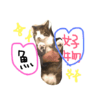 くうにゃんlove（個別スタンプ：12）