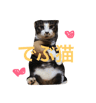 くうにゃんlove（個別スタンプ：13）