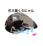 くうにゃんlove（個別スタンプ：16）