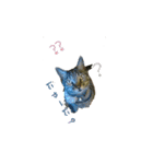 ラッキー＆ルーシー（個別スタンプ：2）