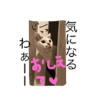 1チワワ2にゃんこ（個別スタンプ：13）