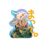 りあるミロニャンコ（個別スタンプ：10）