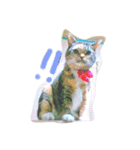 りあるミロニャンコ（個別スタンプ：12）