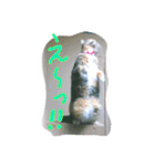 りあるミロニャンコ（個別スタンプ：13）