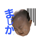きなさんスタンプ（個別スタンプ：5）