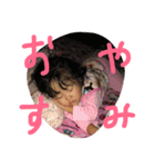 のあゆな（個別スタンプ：16）
