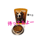 ビーグル犬とトイプードルの癒しスタンプ（個別スタンプ：16）