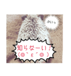 hari roco.（個別スタンプ：9）