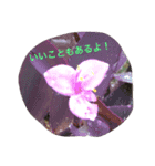 優しい（個別スタンプ：6）