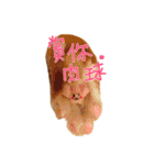 Tammy's cat house（個別スタンプ：9）