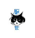 Tammy's cat house（個別スタンプ：20）