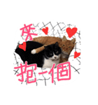 Tammy's cat house（個別スタンプ：21）