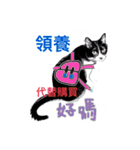Tammy's cat house（個別スタンプ：23）