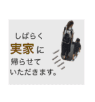 しゅうあお2（個別スタンプ：35）