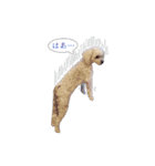 Dog,Rabbit and bird（個別スタンプ：10）