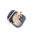 Dog,Rabbit and bird（個別スタンプ：23）
