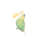 Dog,Rabbit and bird（個別スタンプ：24）