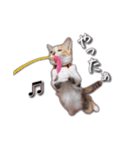 ウチのゴンちゃん（個別スタンプ：2）