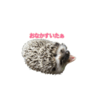 Mello's（個別スタンプ：7）