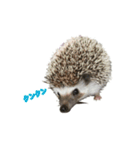 Mello's（個別スタンプ：8）