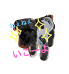 ショコラじじぃ（個別スタンプ：3）