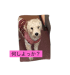 日頃使えるスタンプ（個別スタンプ：4）
