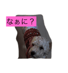 日頃使えるスタンプ（個別スタンプ：8）