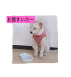 日頃使えるスタンプ（個別スタンプ：14）