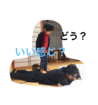 chiimaru 2（個別スタンプ：37）