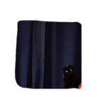 black cat LANI（個別スタンプ：5）